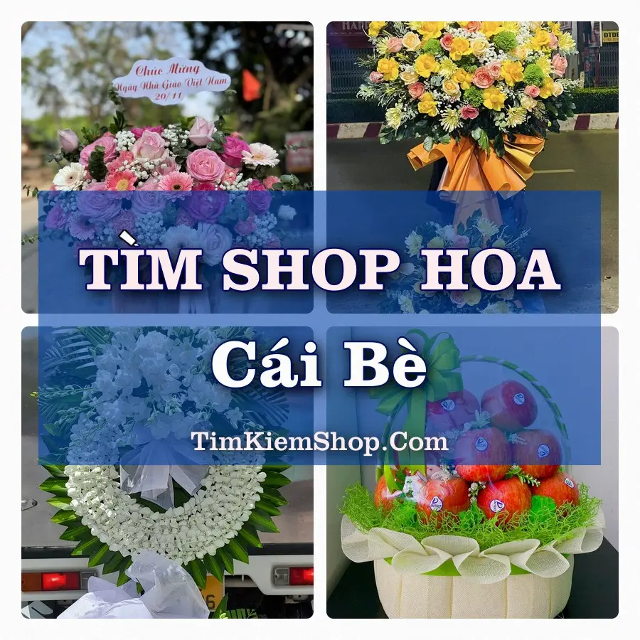 Tìm Shop Hoa Tươi Tại Xã Cái Bè Đồng Tháp