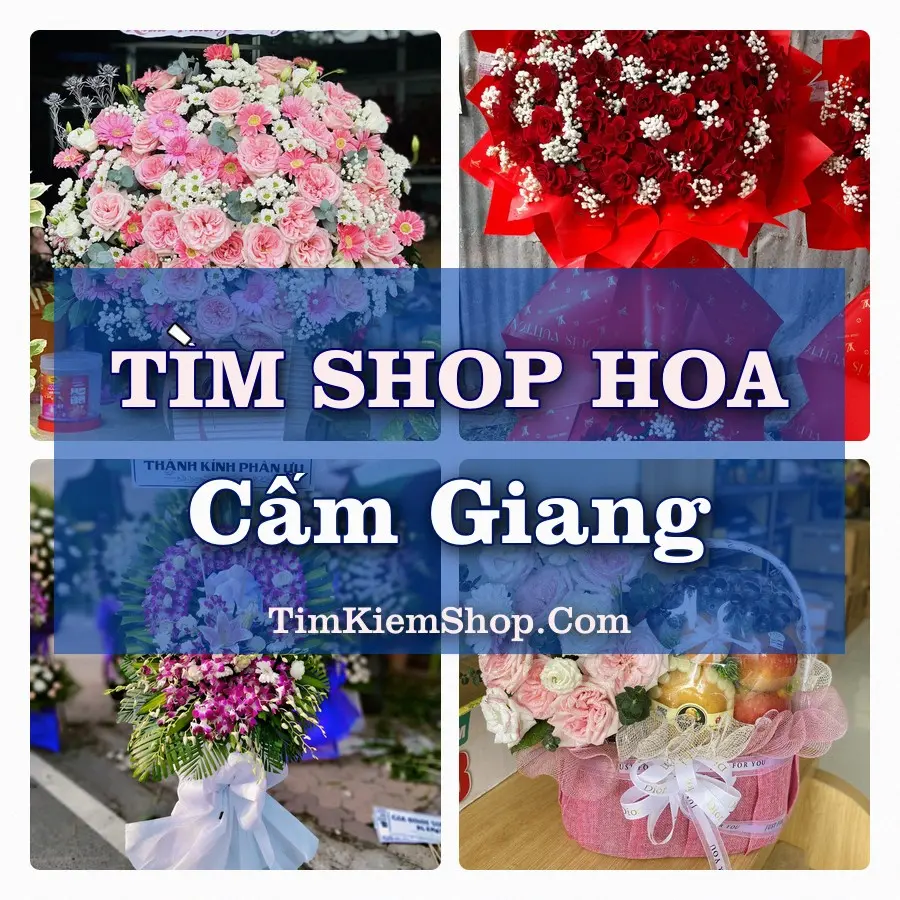 Tìm Shop Hoa Tươi Tại Xã Cẩm Giang Hải Phòng