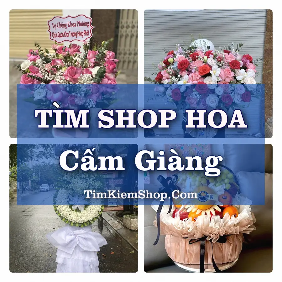 Tìm Shop Hoa Tươi Tại Xã Cẩm Giàng Hải Phòng