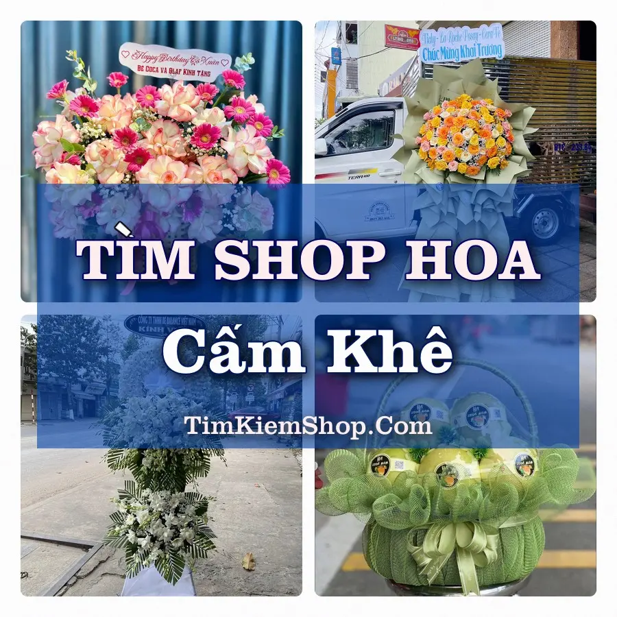 Tìm Shop Hoa Tươi Tại Xã Cẩm Khê Phú Thọ