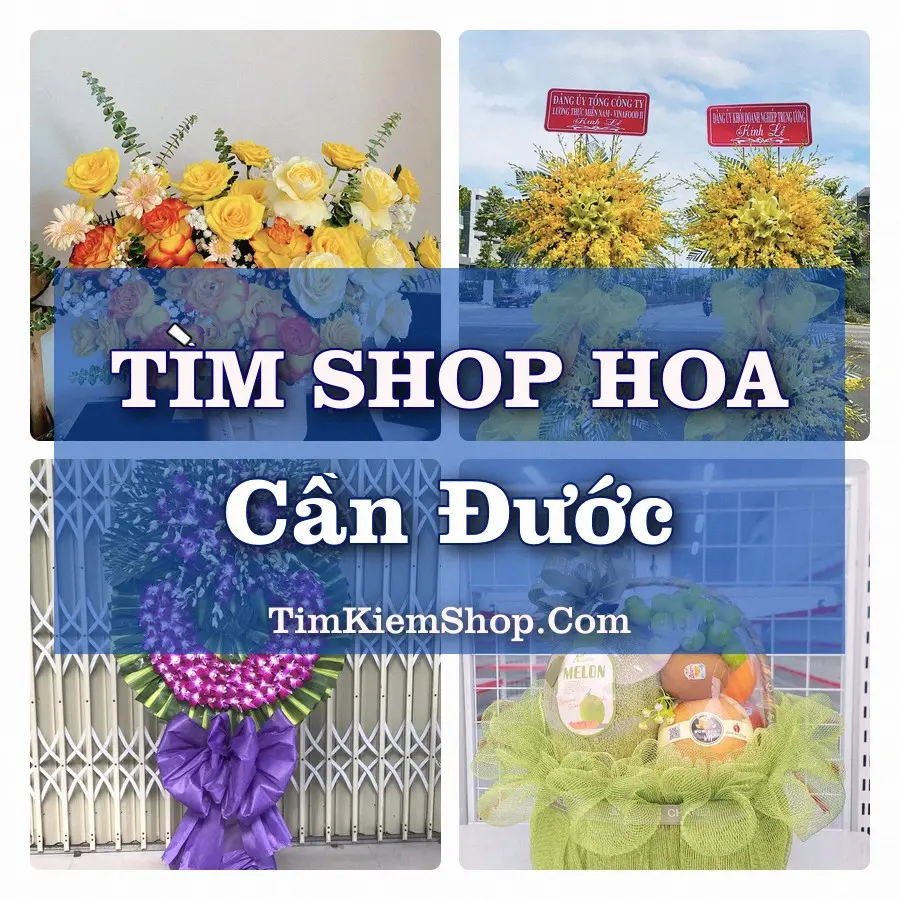 Tìm Shop Hoa Tươi Tại Xã Cần Đước Tây Ninh