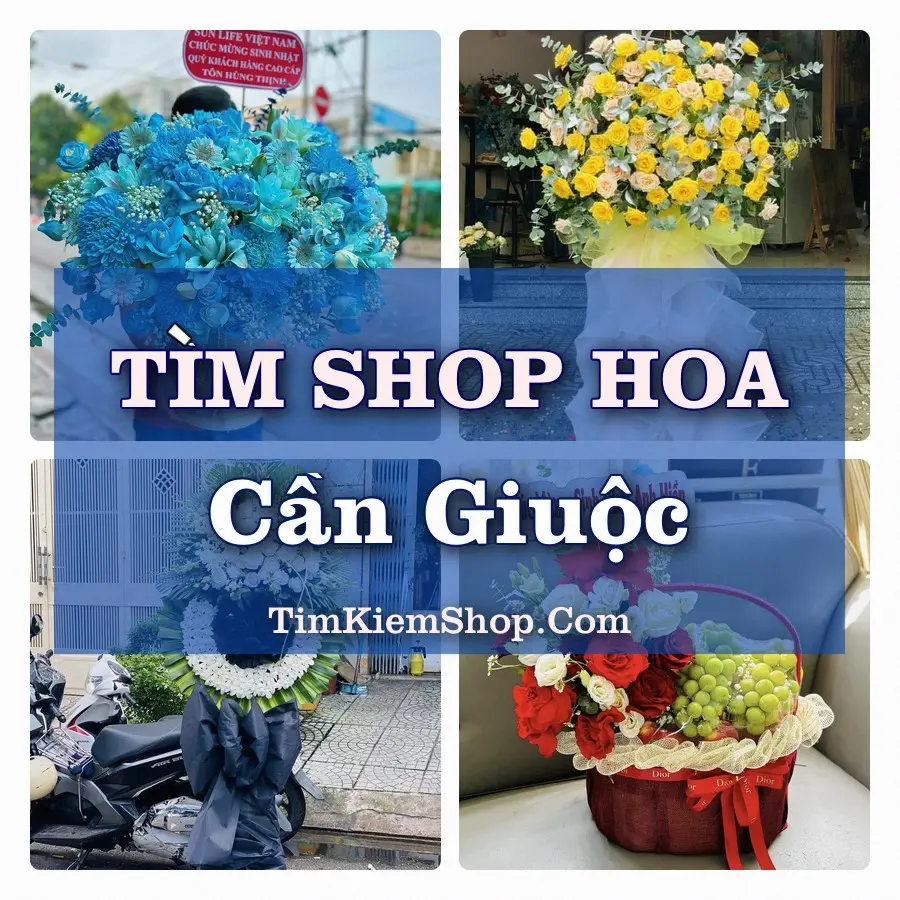 Tìm Shop Hoa Tươi Tại Xã Cần Giuộc Tây Ninh
