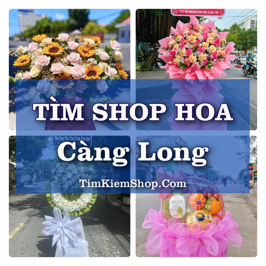 Tìm Shop Hoa Tươi Tại Xã Càng Long Vĩnh Long