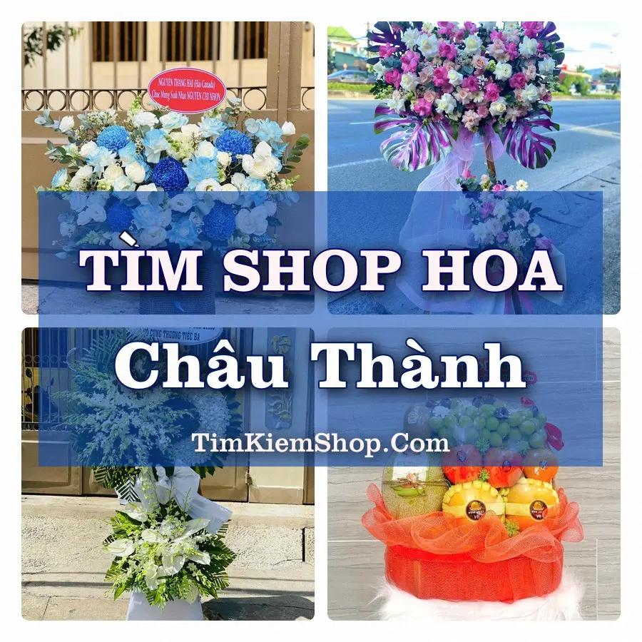 Tìm Shop Hoa Tươi Tại Xã Châu Thành An Giang