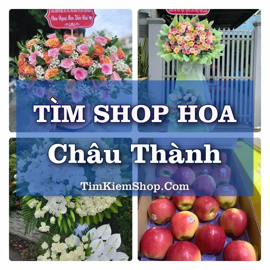 Tìm Shop Hoa Tươi Tại Xã Châu Thành Tây Ninh