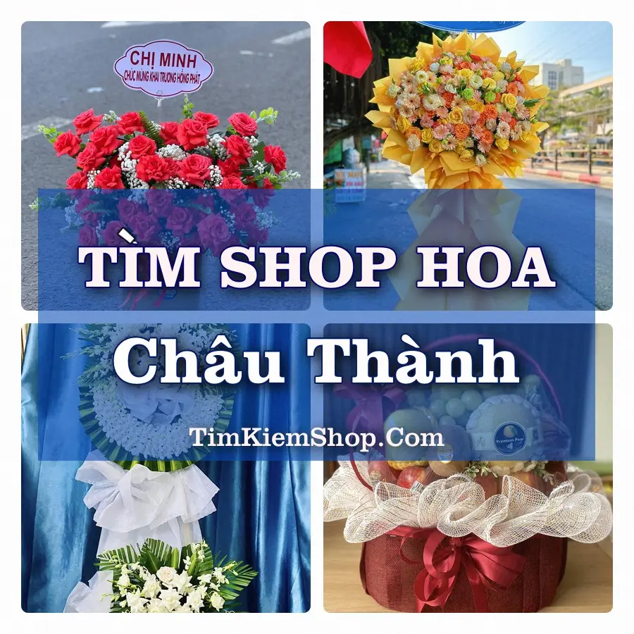 Tìm Shop Hoa Tươi Tại Xã Châu Thành Vĩnh Long