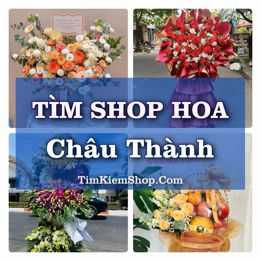 Tìm Shop Hoa Tươi Tại Xã Châu Thành Đồng Tháp