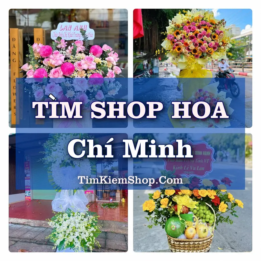 Tìm Shop Hoa Tươi Tại Xã Chí Minh Hải Phòng
