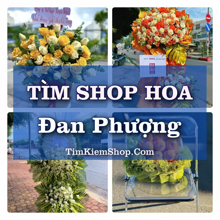 Tìm Shop Hoa Tươi Tại Xã Đan Phượng Hà Nội