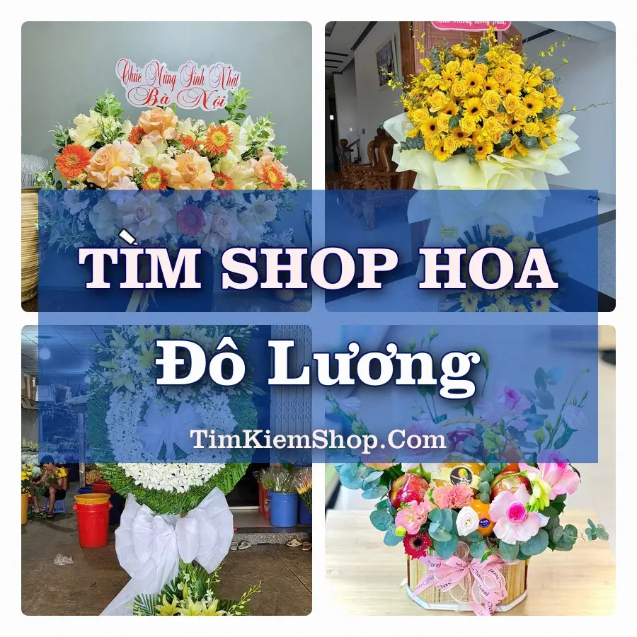Tìm Shop Hoa Tươi Tại Xã Đô Lương Nghệ An