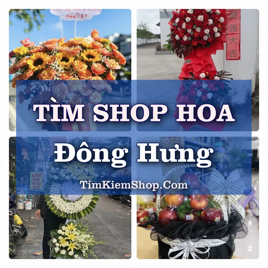 Tìm Shop Hoa Tươi Tại Xã Đông Hưng Hưng Yên