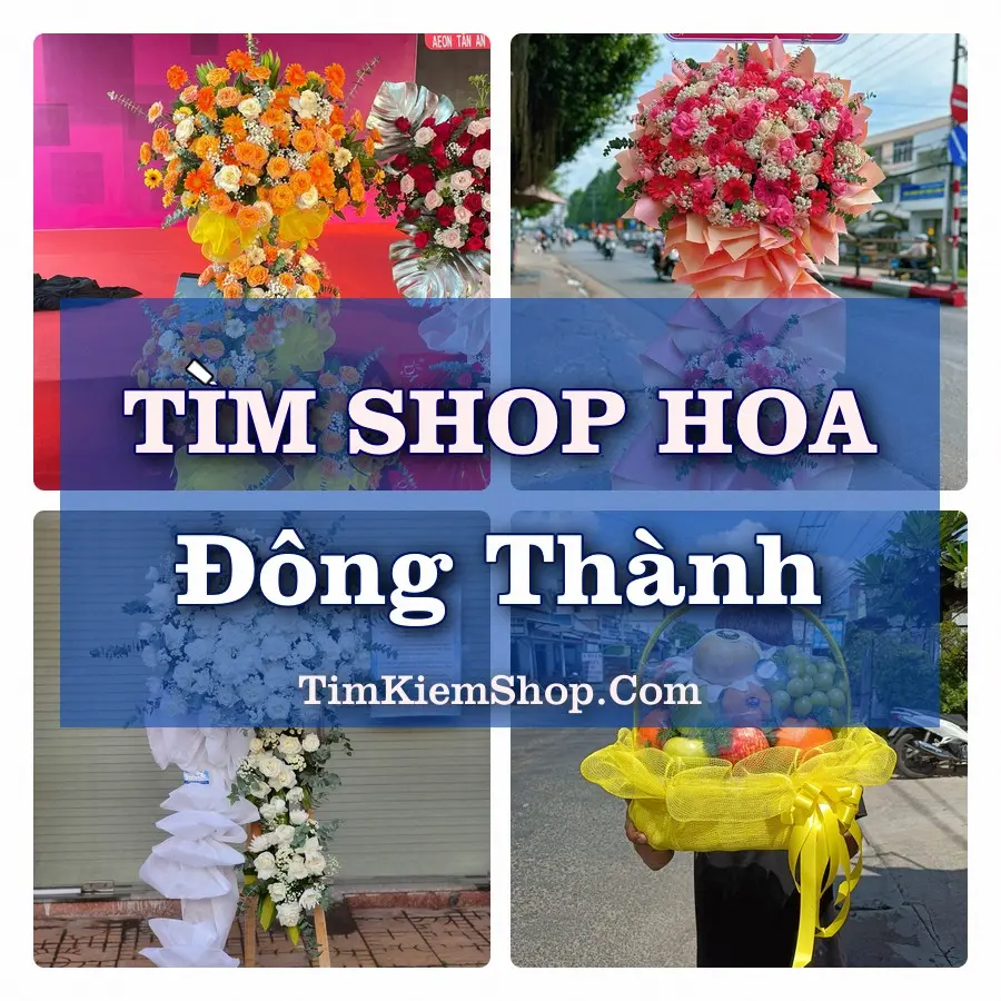 Tìm Shop Hoa Tươi Tại Xã Đông Thành Nghệ An