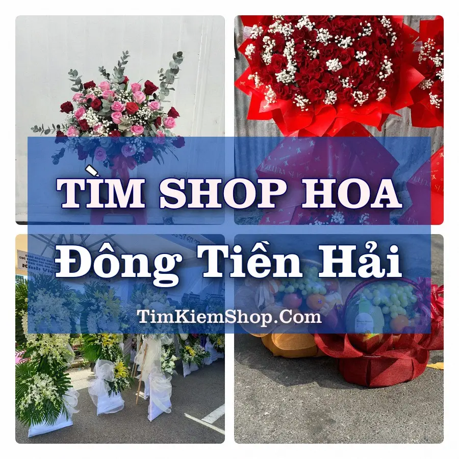 Tìm Shop Hoa Tươi Tại Xã Đông Tiền Hải Hưng Yên