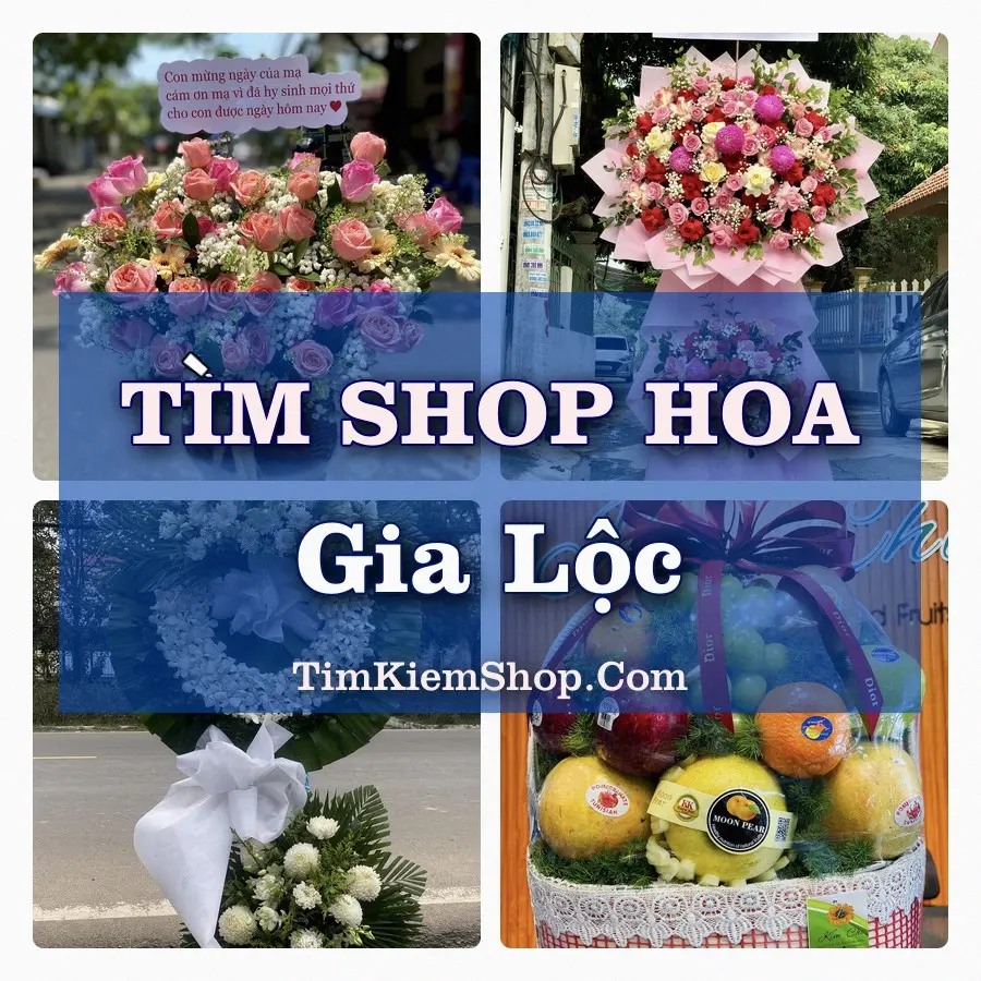 Tìm Shop Hoa Tươi Tại Xã Gia Lộc Hải Phòng