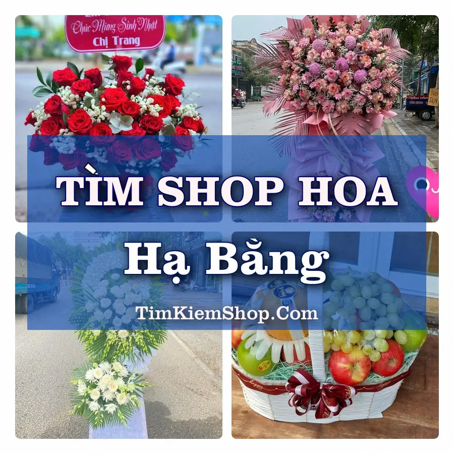 Tìm Shop Hoa Tươi Tại Xã Hạ Bằng Hà Nội