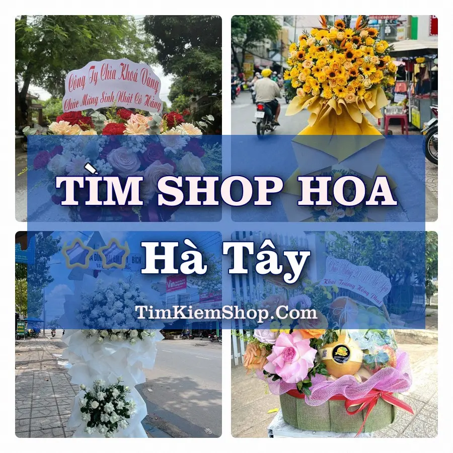 Tìm Shop Hoa Tươi Tại Xã Hà Tây Hải Phòng