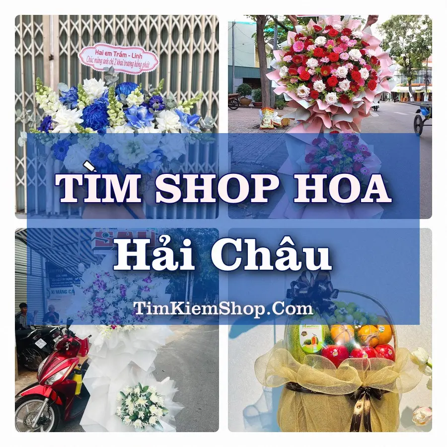 Tìm Shop Hoa Tươi Tại Xã Hải Châu Nghệ An