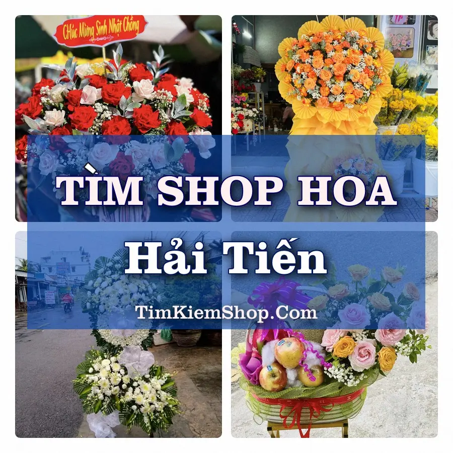 Tìm Shop Hoa Tươi Tại Xã Hải Tiến Ninh Bình