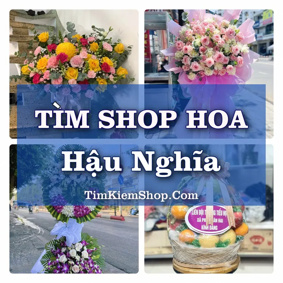 Tìm Shop Hoa Tươi Tại Xã Hậu Nghĩa Tây Ninh