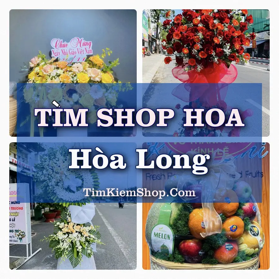 Tìm Shop Hoa Tươi Tại Xã Hòa Long Đồng Tháp