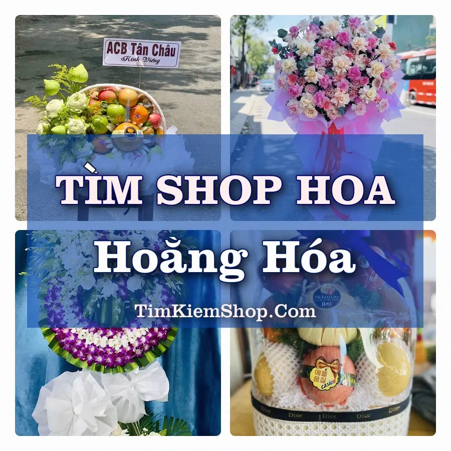 Tìm Shop Hoa Tươi Tại Xã Hoằng Hóa Thanh Hóa