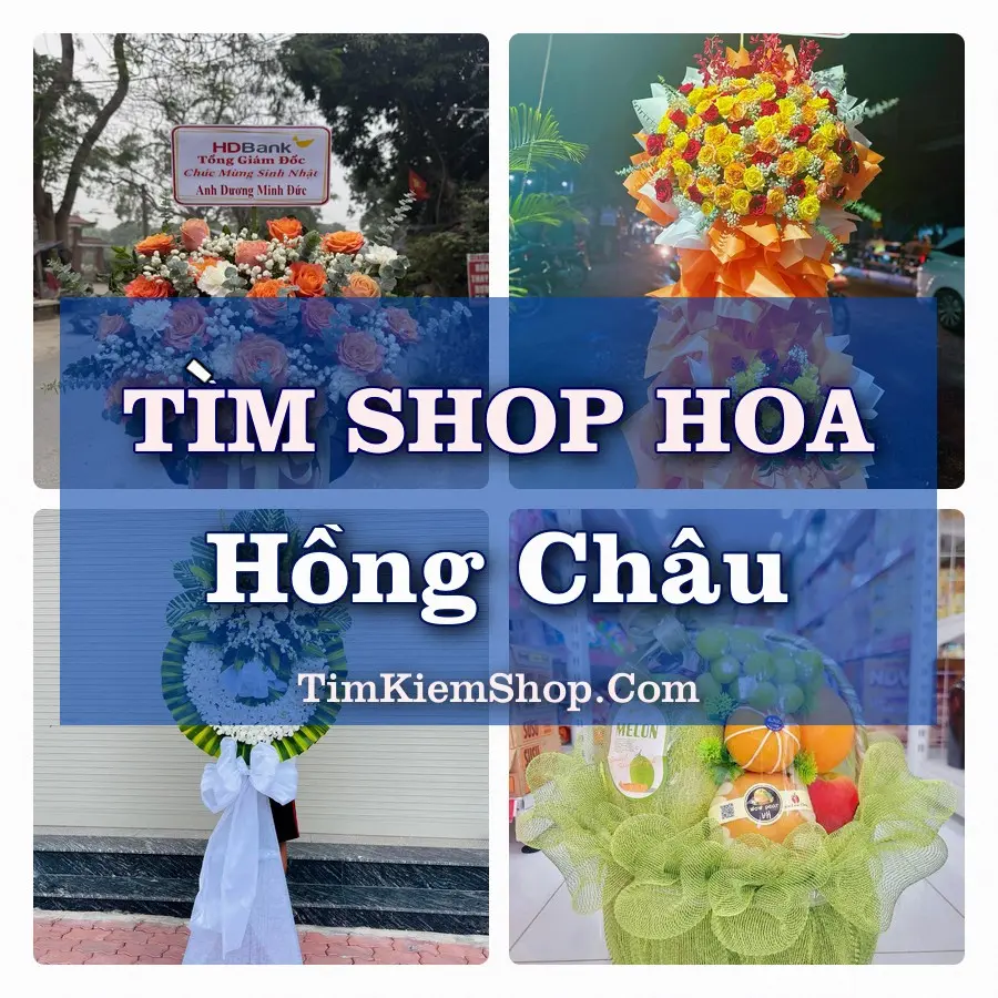 Tìm Shop Hoa Tươi Tại Xã Hồng Châu Hải Phòng