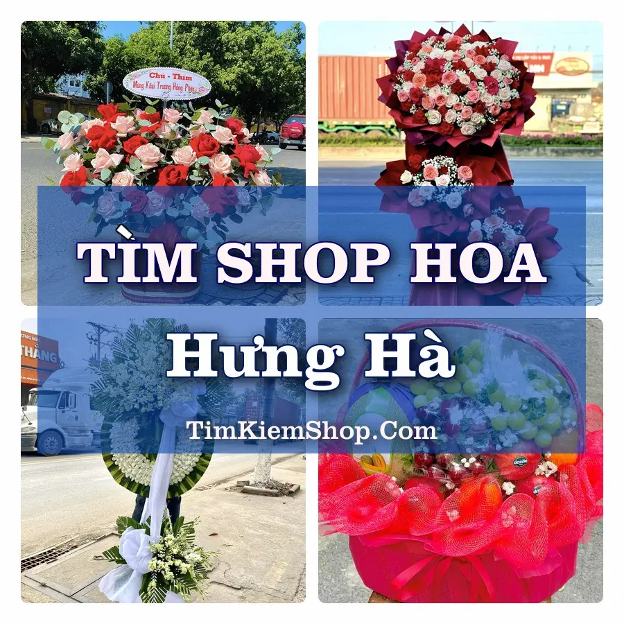 Tìm Shop Hoa Tươi Tại Xã Hưng Hà Hưng Yên