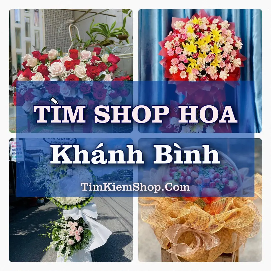 Tìm Shop Hoa Tươi Tại Xã Khánh Bình An Giang