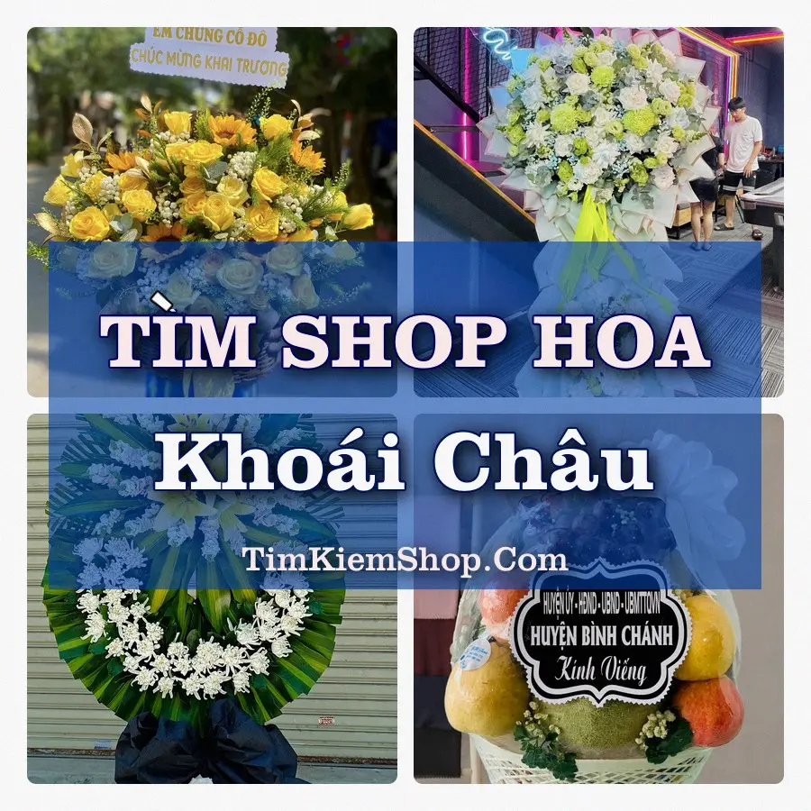 Tìm Shop Hoa Tươi Tại Xã Khoái Châu Hưng Yên