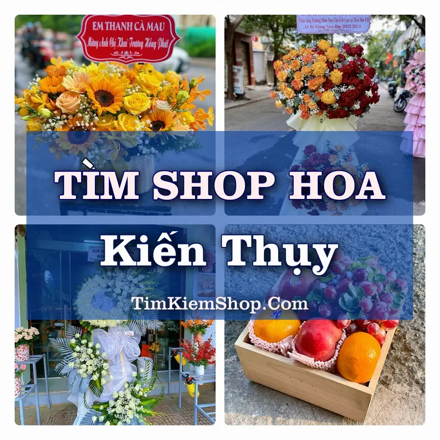Tìm Shop Hoa Tươi Tại Xã Kiến Thụy Hải Phòng