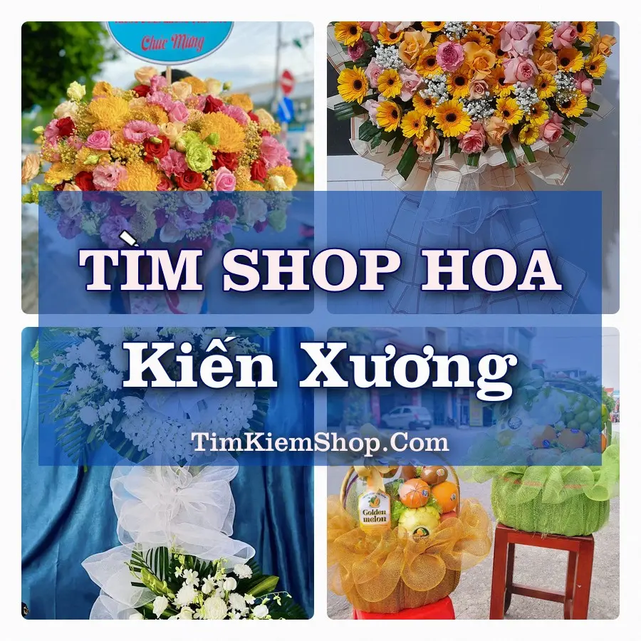 Tìm Shop Hoa Tươi Tại Xã Kiến Xương Hưng Yên