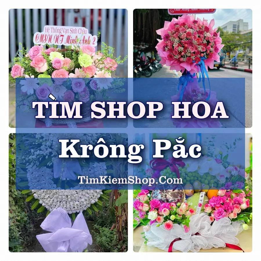 Tìm Shop Hoa Tươi Tại Xã Krông Pắc Đắk Lắk
