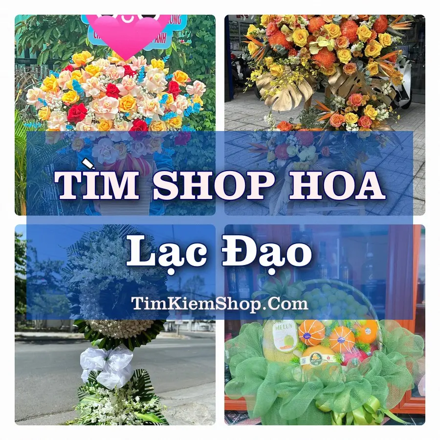Tìm Shop Hoa Tươi Tại Xã Lạc Đạo Hưng Yên