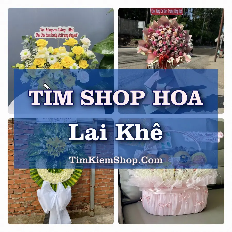 Tìm Shop Hoa Tươi Tại Xã Lai Khê Hải Phòng