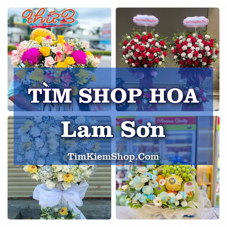 Tìm Shop Hoa Tươi Tại Xã Lam Sơn Thanh Hóa