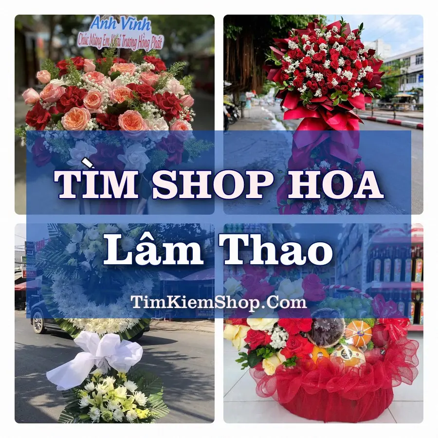 Tìm Shop Hoa Tươi Tại Xã Lâm Thao Phú Thọ