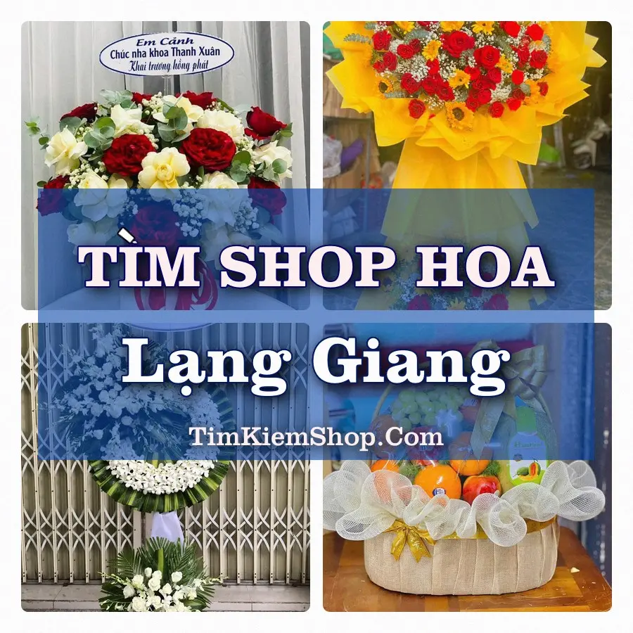Tìm Shop Hoa Tươi Tại Xã Lạng Giang Bắc Ninh