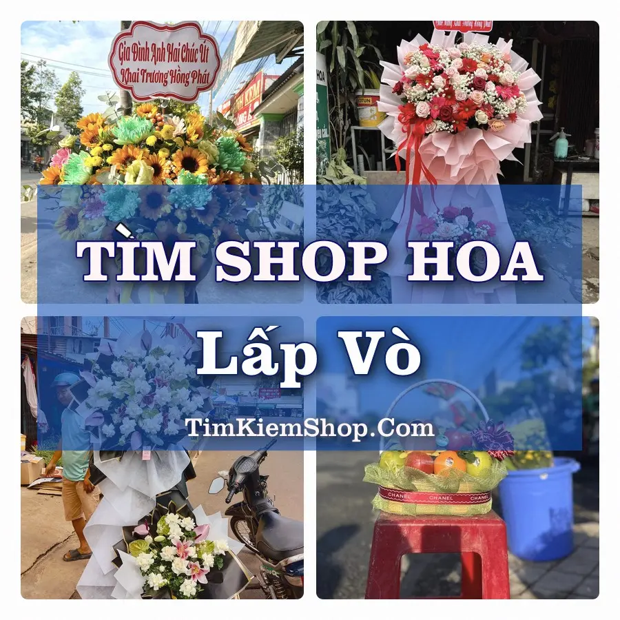 Tìm Shop Hoa Tươi Tại Xã Lấp Vò Đồng Tháp