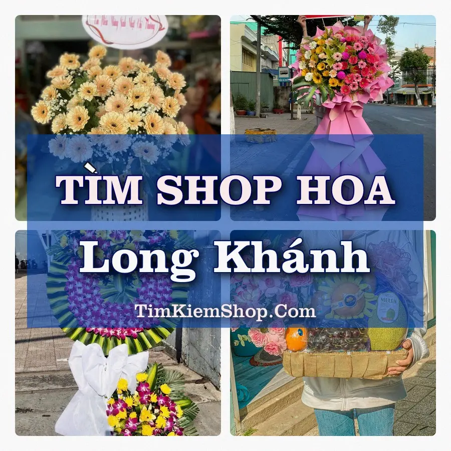 Tìm Shop Hoa Tươi Tại Xã Long Khánh Đồng Tháp