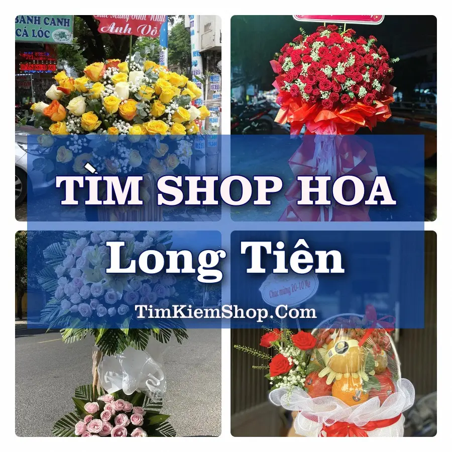 Tìm Shop Hoa Tươi Tại Xã Long Tiên Đồng Tháp