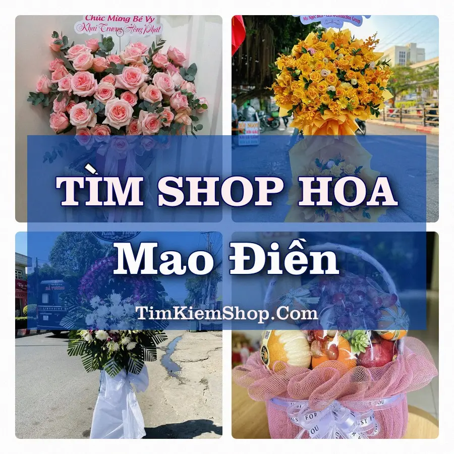 Tìm Shop Hoa Tươi Tại Xã Mao Điền Hải Phòng