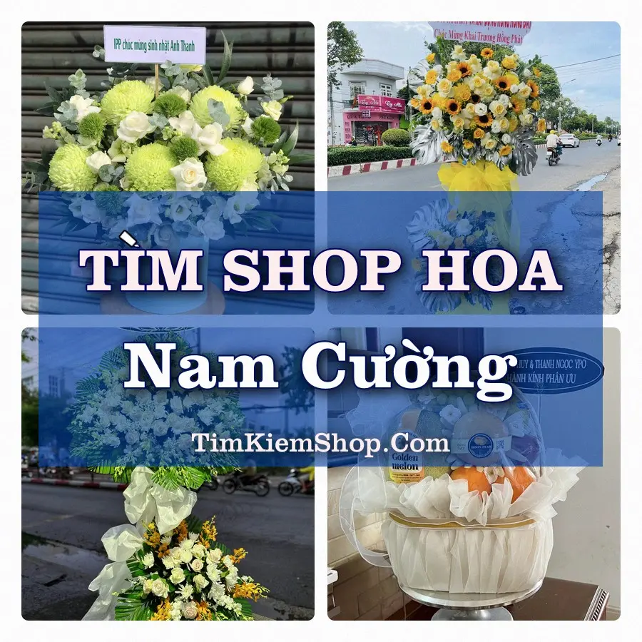 Tìm Shop Hoa Tươi Tại Xã Nam Cường Hưng Yên