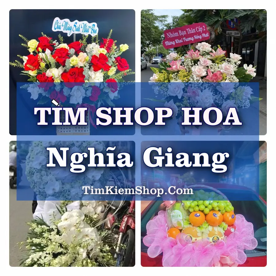 Tìm Shop Hoa Tươi Tại Xã Nghĩa Giang Quảng Ngãi