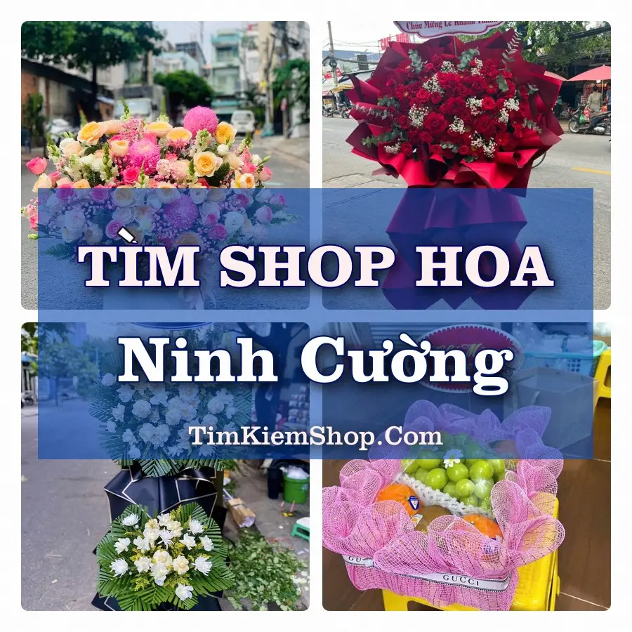 Tìm Shop Hoa Tươi Tại Xã Ninh Cường Ninh Bình