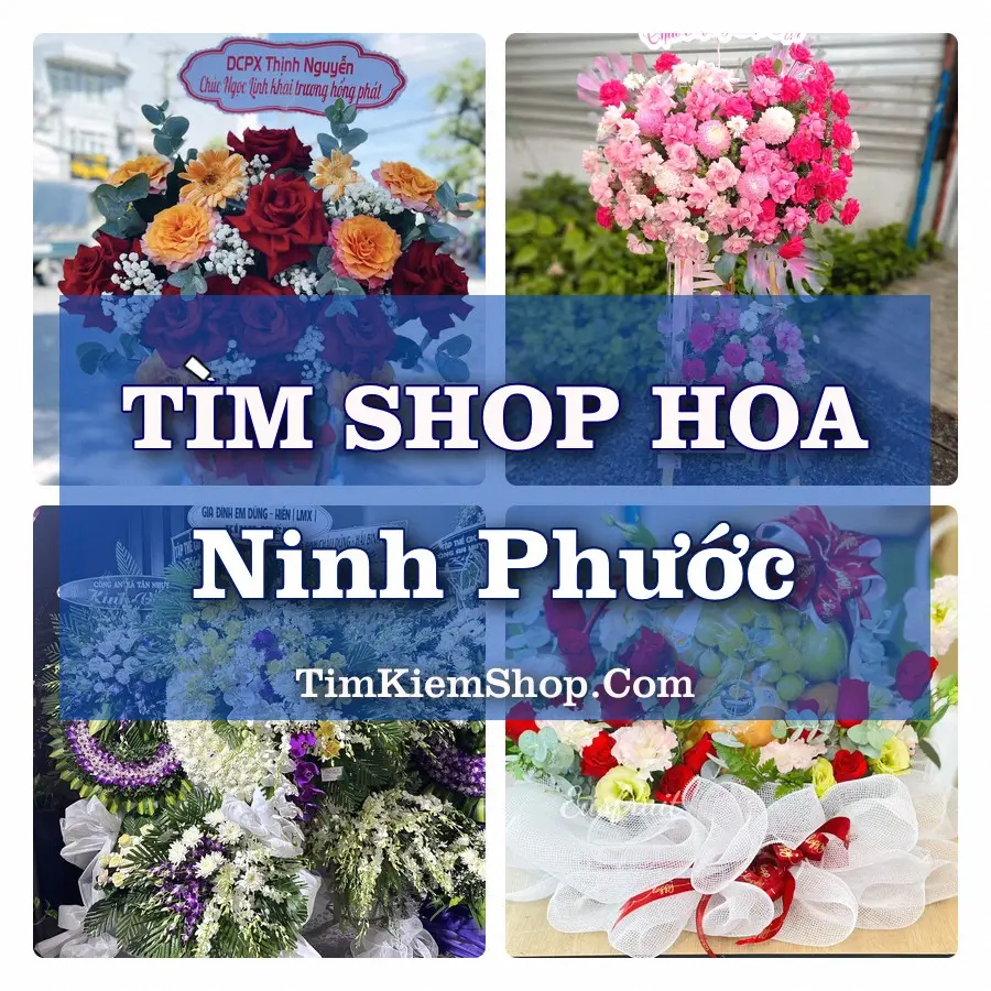 Tìm Shop Hoa Tươi Tại Xã Ninh Phước Khánh Hòa