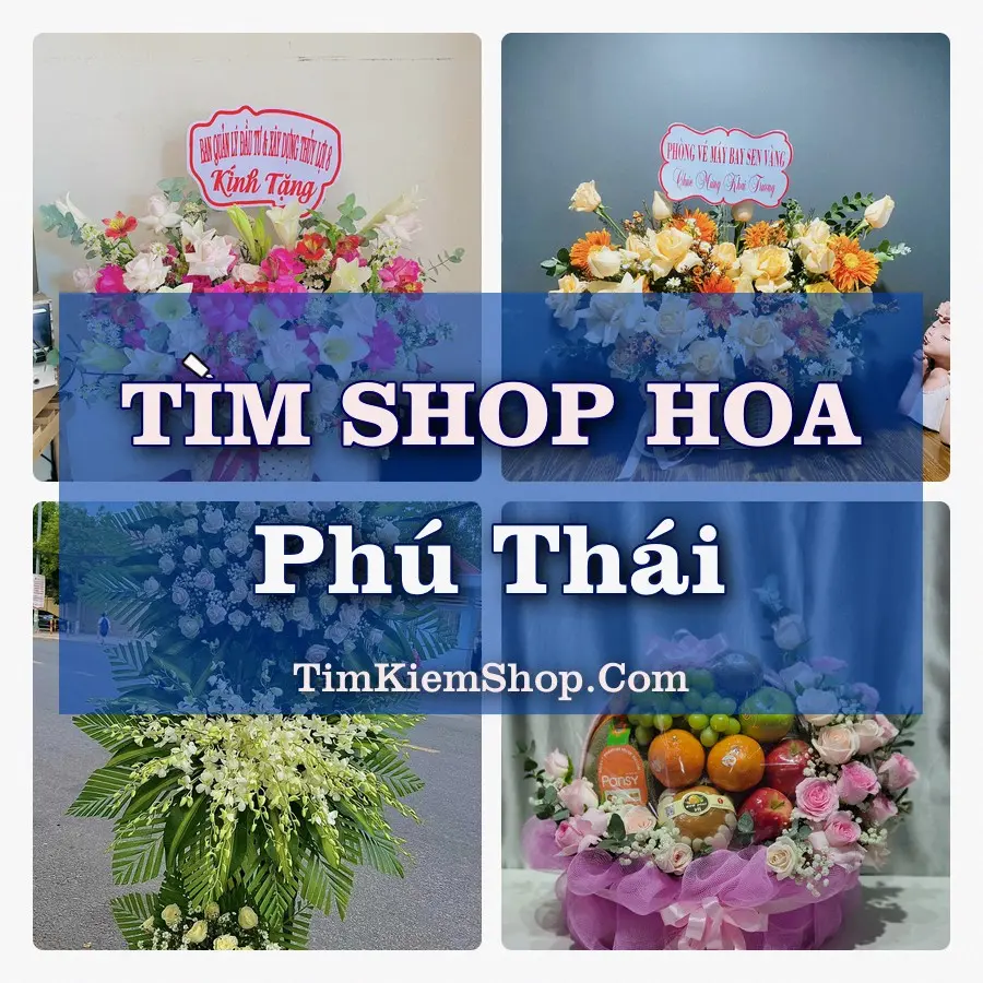 Tìm Shop Hoa Tươi Tại Xã Phú Thái Hải Phòng