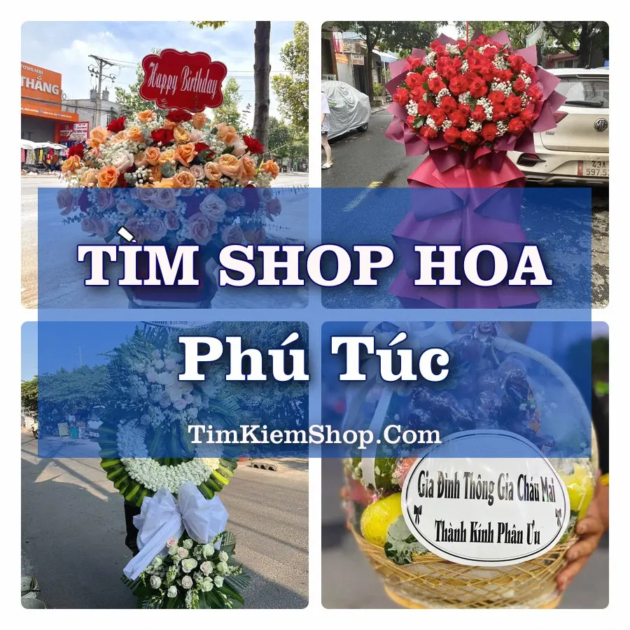 Tìm Shop Hoa Tươi Tại Xã Phú Túc Vĩnh Long