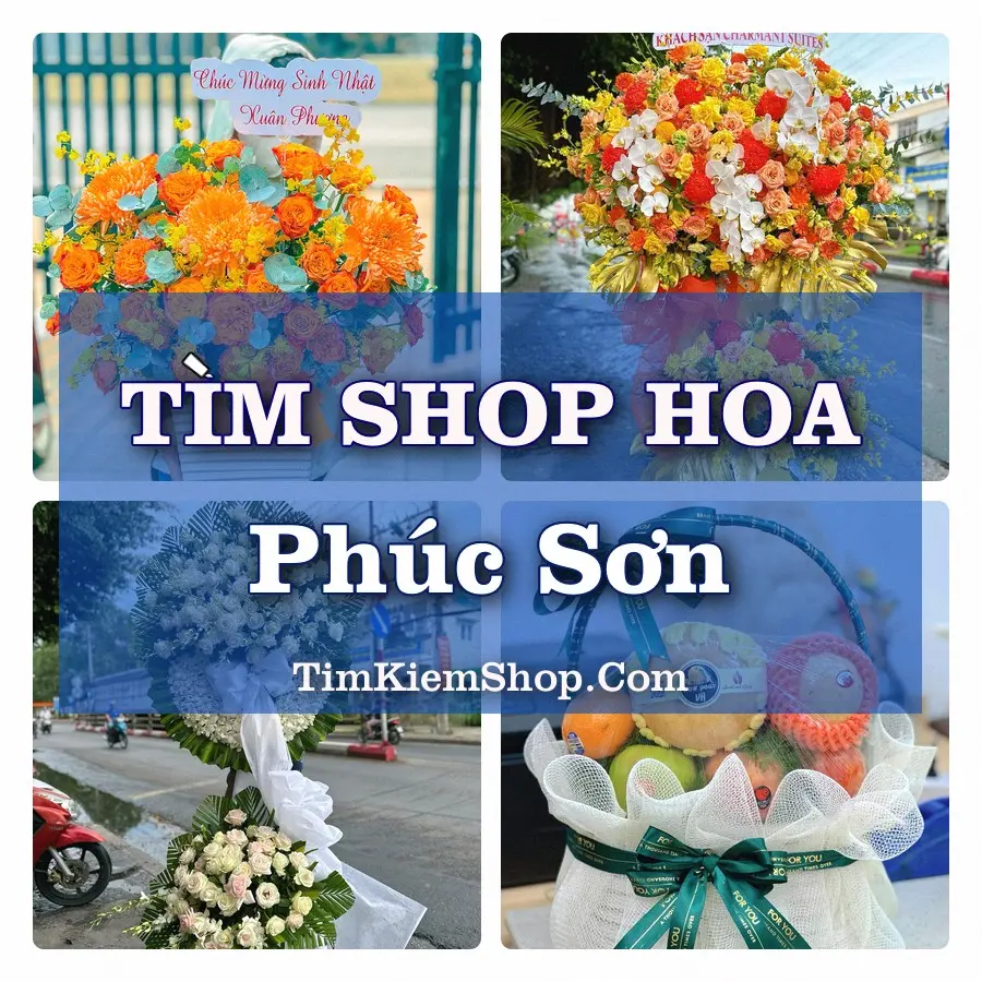Tìm Shop Hoa Tươi Tại Xã Phúc Sơn Hà Nội