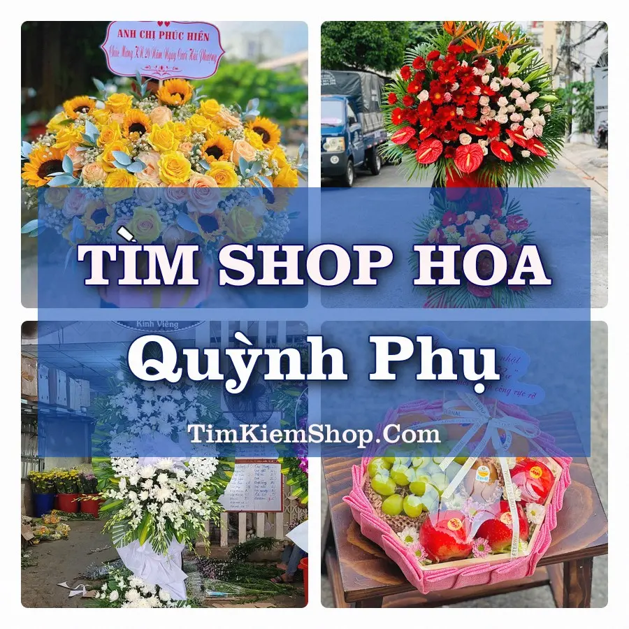 Tìm Shop Hoa Tươi Tại Xã Quỳnh Phụ Hưng Yên