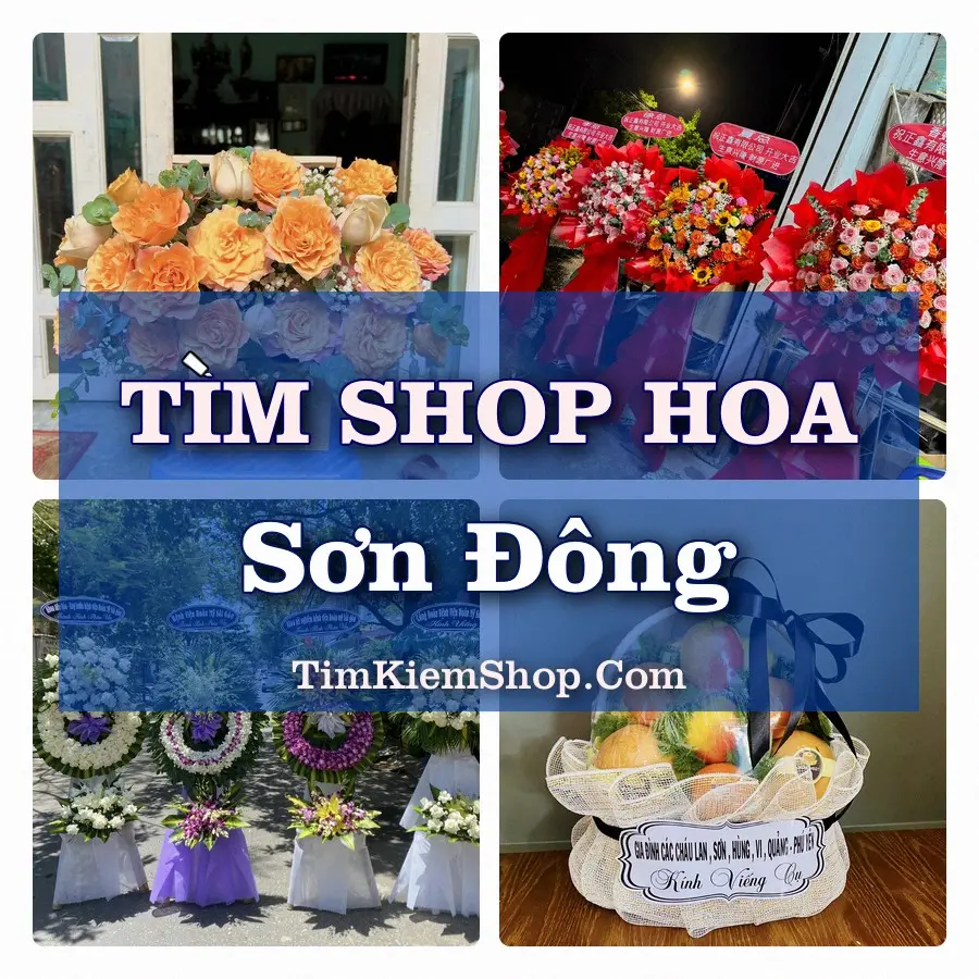 Tìm Shop Hoa Tươi Tại Xã Sơn Đông Phú Thọ